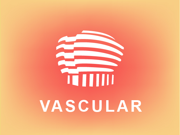 Center of Brain and Spinal Vascular Diseases